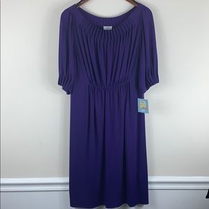 Suzy Chin for Maggie Boutique Dress sz 12